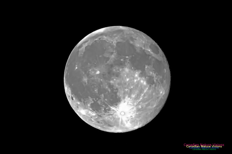 Blue Moon Set