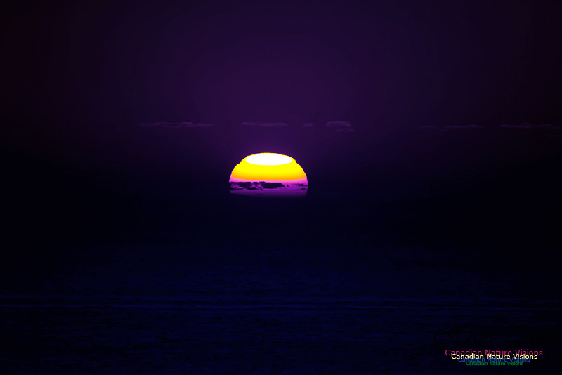 Blue Moon Sunrise 2015