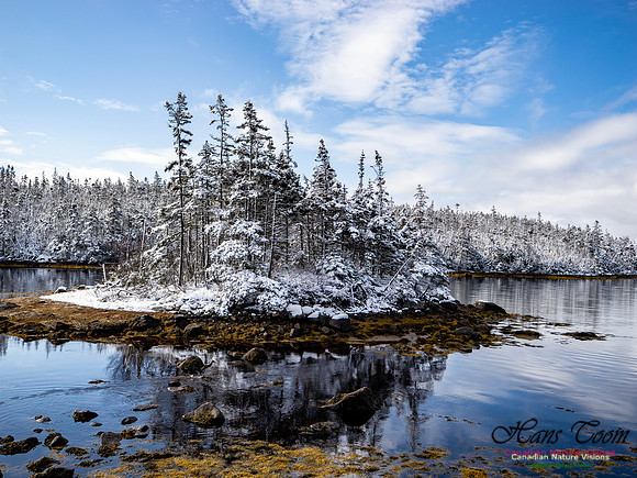 April Snow in Nova Scotia 216