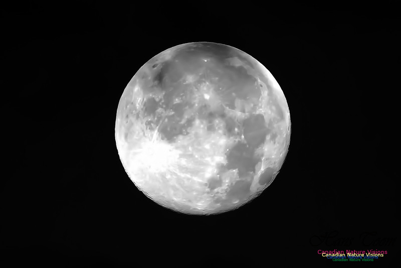 BloomMoonSet1
