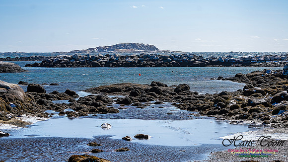 Late Winter Nova Scotia Scenes 154