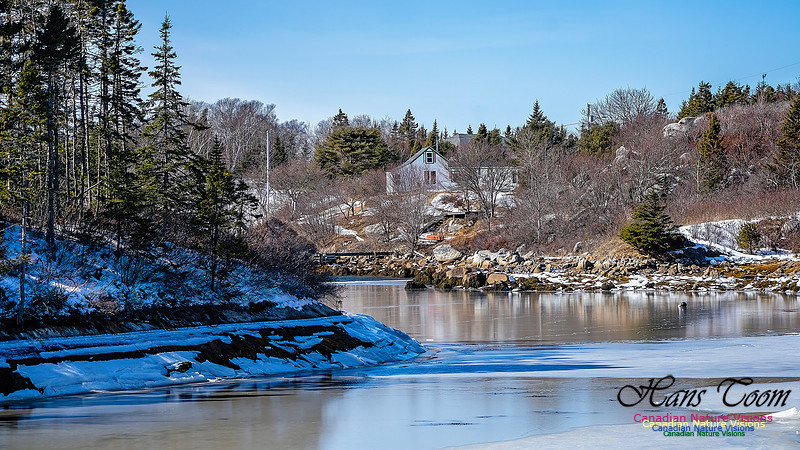 Late Winter Nova Scotia Scenes 155
