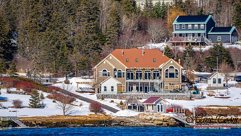 Late Winter Nova Scotia Scenes 157