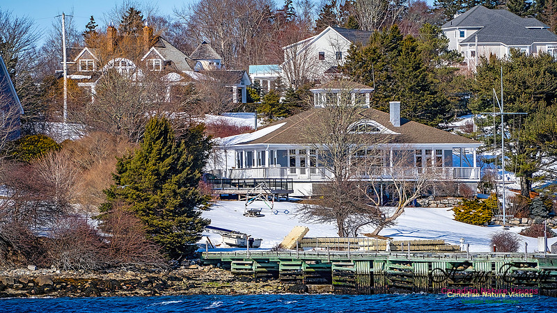 Late Winter Nova Scotia Scenes 159