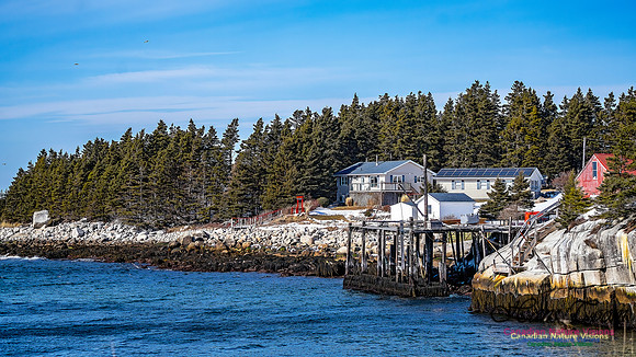 Late Winter Nova Scotia Scenes 162