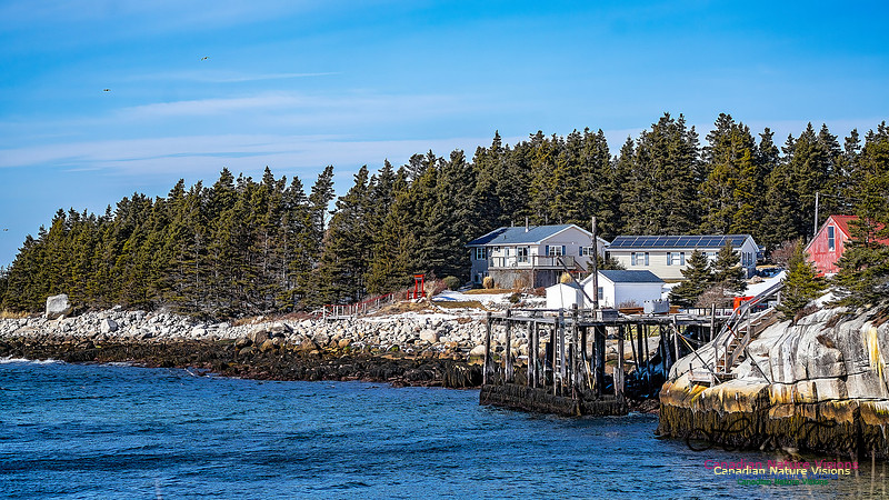 Late Winter Nova Scotia Scenes 162
