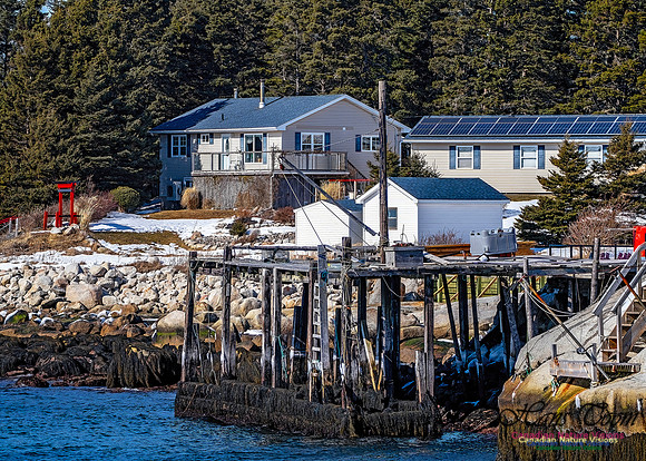 Late Winter Nova Scotia Scenes 161
