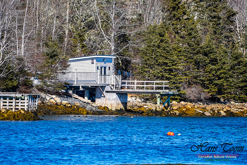 Late Winter Nova Scotia Scenes 100
