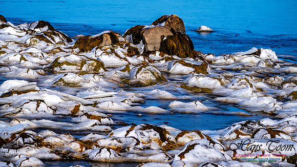 Late Winter Nova Scotia Scenes 102