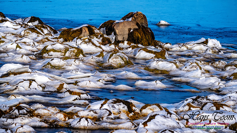 Late Winter Nova Scotia Scenes 102