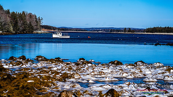 Late Winter Nova Scotia Scenes 103