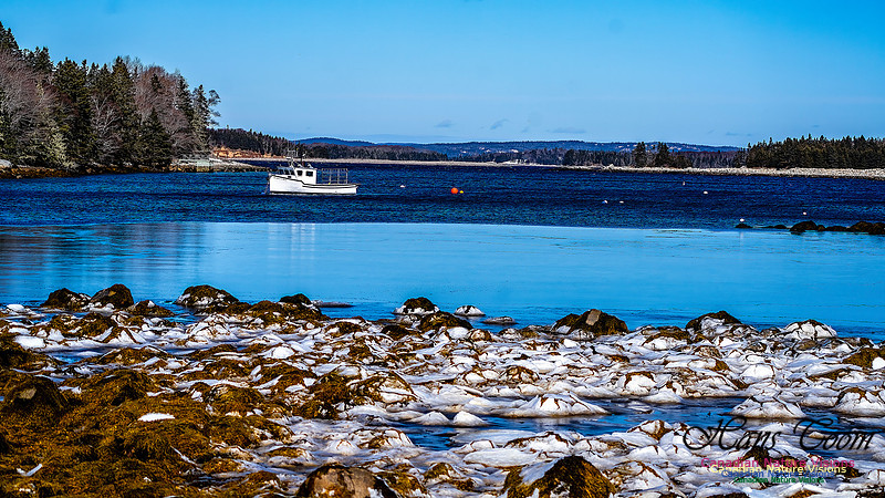Late Winter Nova Scotia Scenes 103