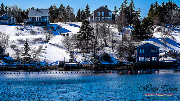 Late Winter Nova Scotia Scenes 105