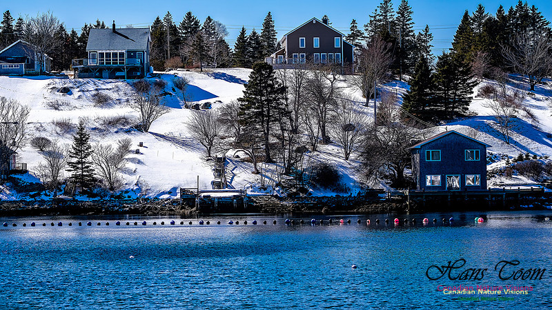 Late Winter Nova Scotia Scenes 105