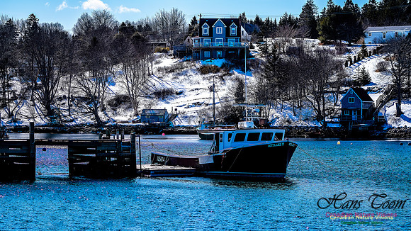 Late Winter Nova Scotia Scenes 106