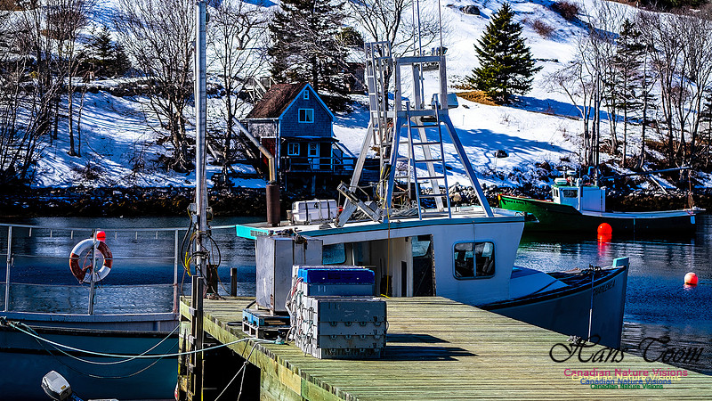 Late Winter Nova Scotia Scenes 109