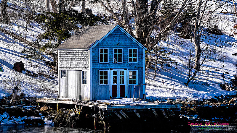 Late Winter Nova Scotia Scenes 110