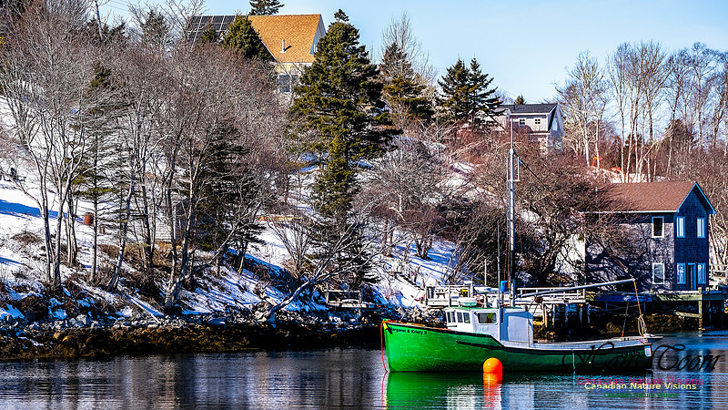 Late Winter Nova Scotia Scenes 112