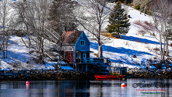 Late Winter Nova Scotia Scenes 111