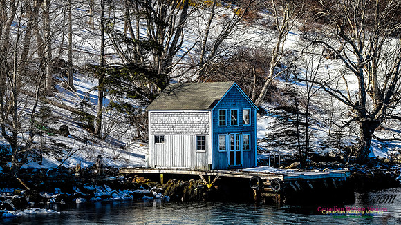 Late Winter Nova Scotia Scenes 113
