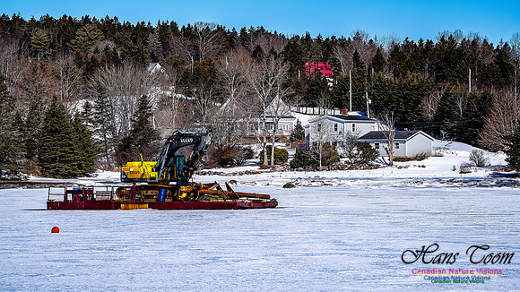 Late Winter Nova Scotia Scenes 114