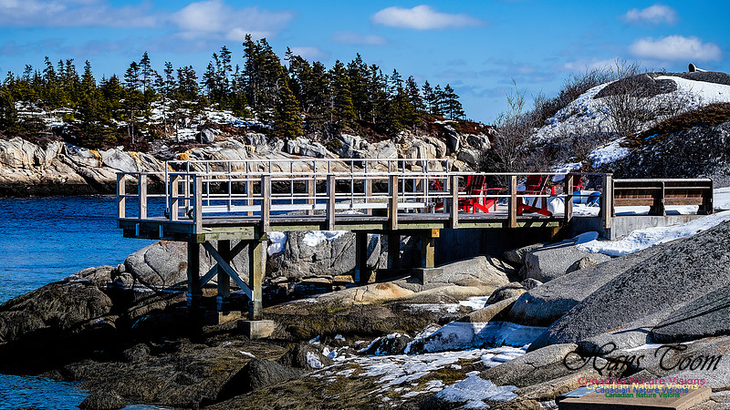 Late Winter Nova Scotia Scenes 117