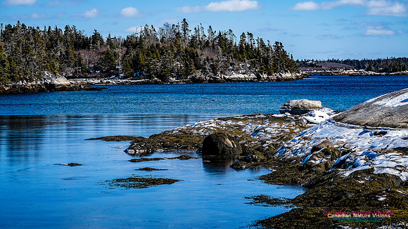 Late Winter Nova Scotia Scenes 118