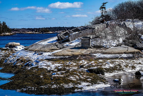 Late Winter Nova Scotia Scenes 119