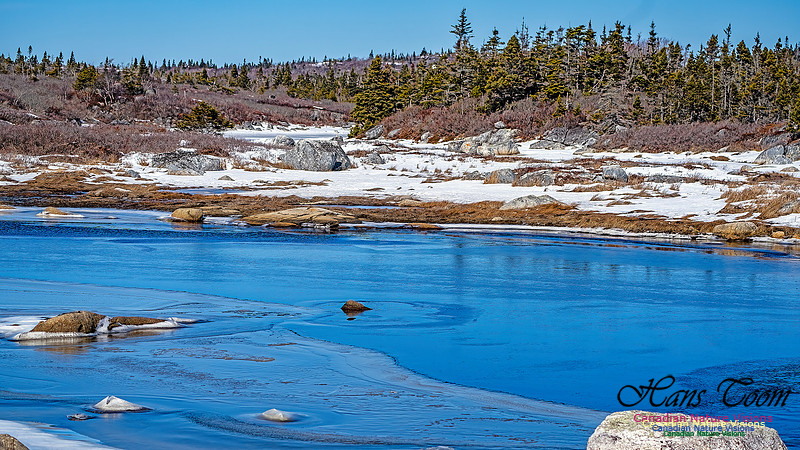 Late Winter Nova Scotia Scenes 124