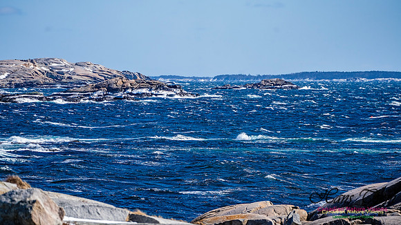 Late Winter Nova Scotia Scenes 127
