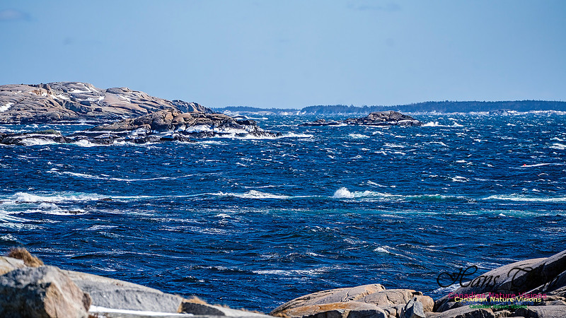 Late Winter Nova Scotia Scenes 127