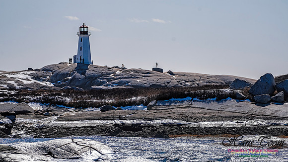 Late Winter Nova Scotia Scenes 132