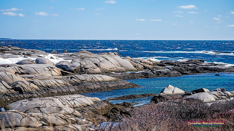 Late Winter Nova Scotia Scenes 131