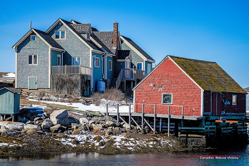 Late Winter Nova Scotia Scenes 130