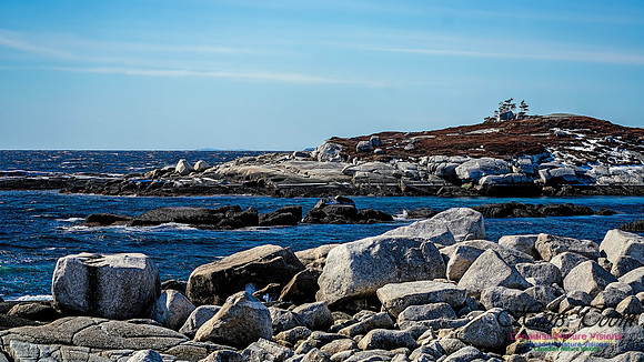 Late Winter Nova Scotia Scenes 134