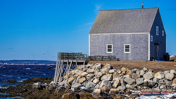 Late Winter Nova Scotia Scenes 136