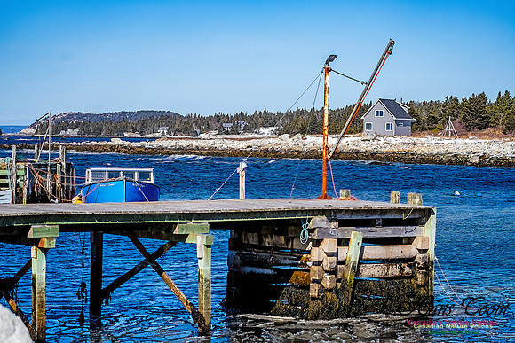 Late Winter Nova Scotia Scenes 137