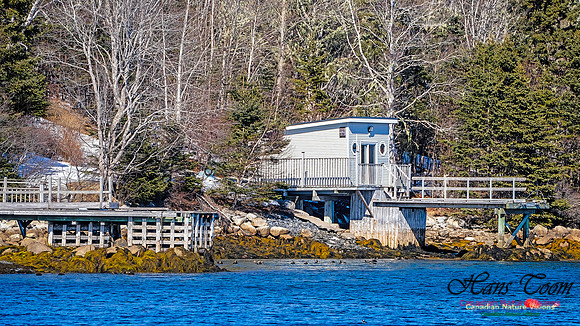 Late Winter Nova Scotia Scenes 139