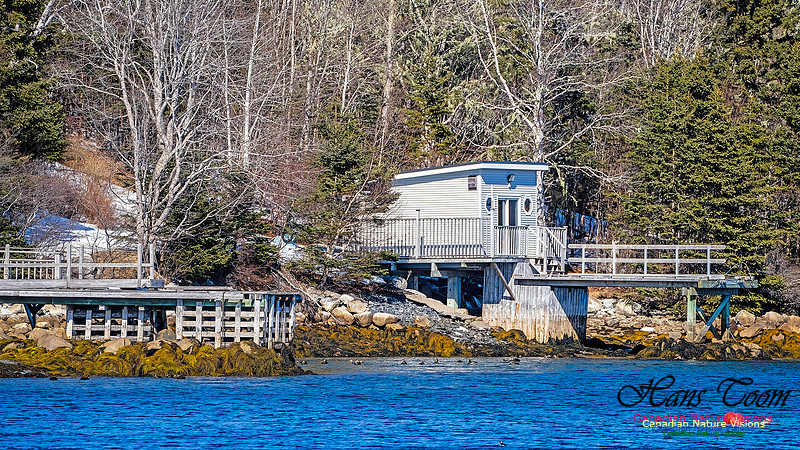 Late Winter Nova Scotia Scenes 139