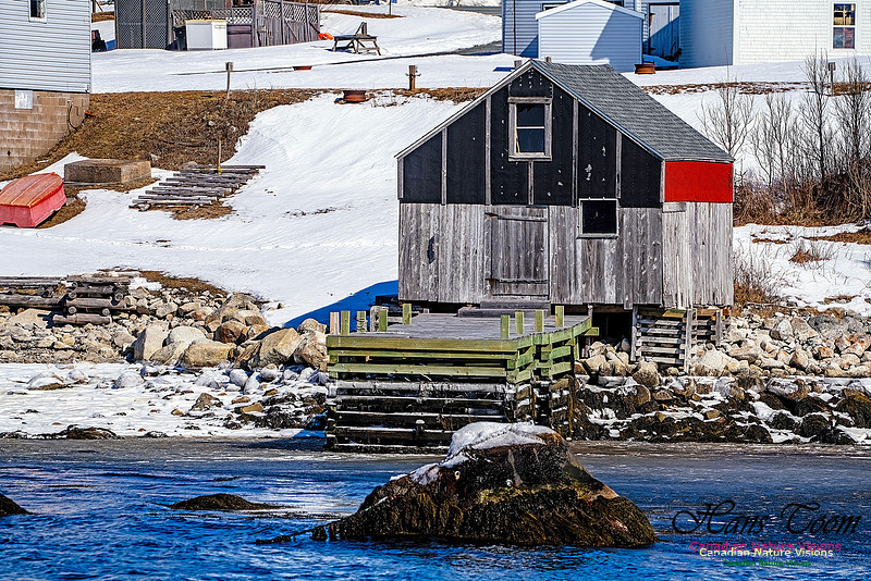 Late Winter Nova Scotia Scenes 138