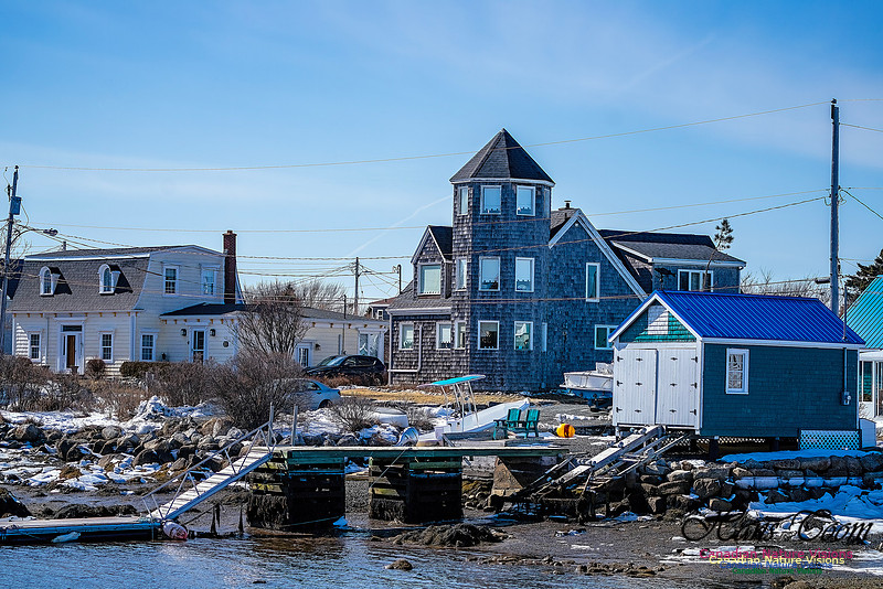 Late Winter Nova Scotia Scenes 142