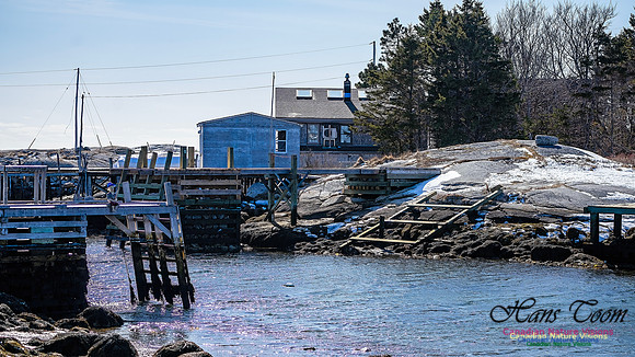 Late Winter Nova Scotia Scenes 144