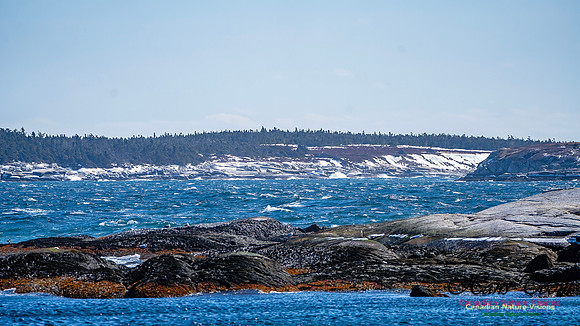 Late Winter Nova Scotia Scenes 147
