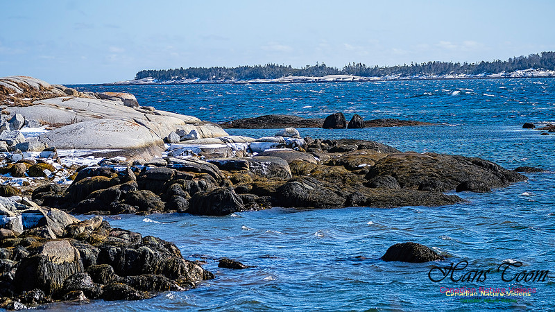 Late Winter Nova Scotia Scenes 146