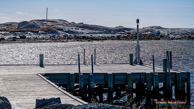 Late Winter Nova Scotia Scenes 148