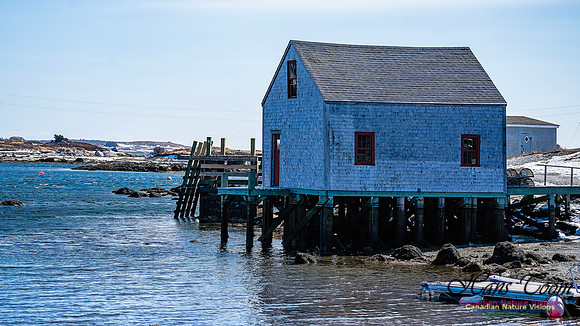 Late Winter Nova Scotia Scenes 150