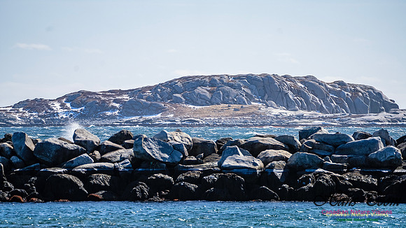 Late Winter Nova Scotia Scenes 152