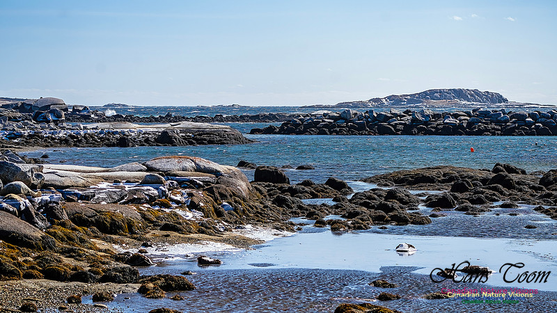 Late Winter Nova Scotia Scenes 153