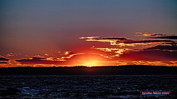 Peggy's Cove Sunset 904