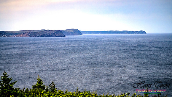 Baccalieu Coastal Drive 102